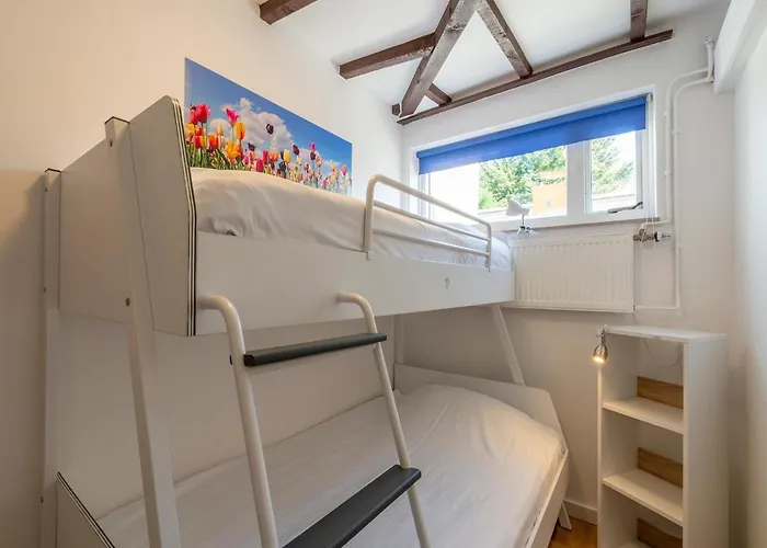 In Sint Maartenszee Near Dunes