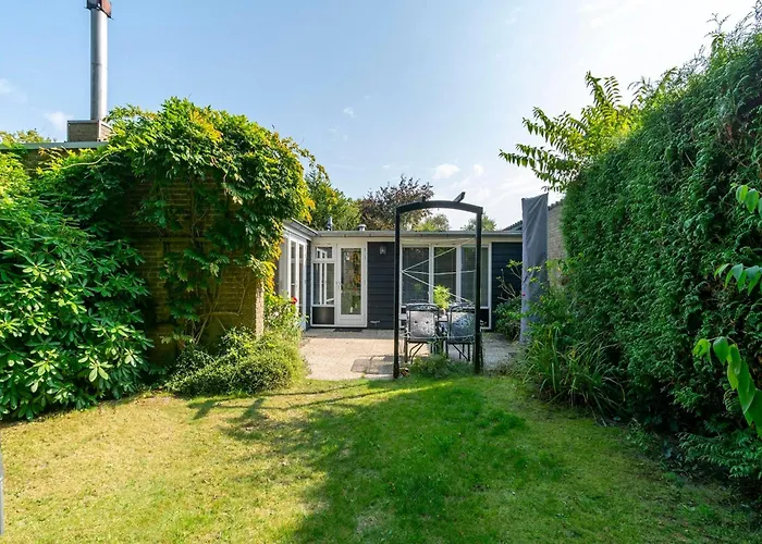 In Sint Maartenszee Near Dunes *