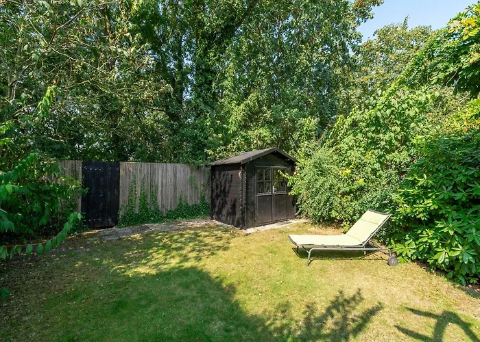 In Sint Maartenszee Near Dunes